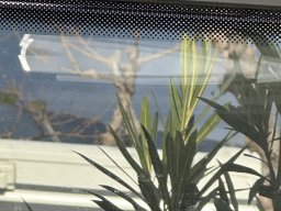 250-16-01-2026 IMG_3458